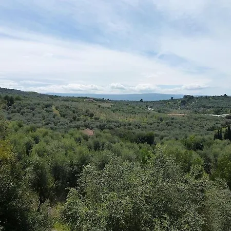 L'estate